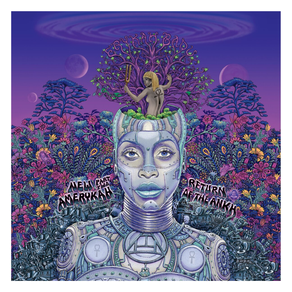 VINYL ERYKAH BADU NEW AMERYKAH PART TWO
