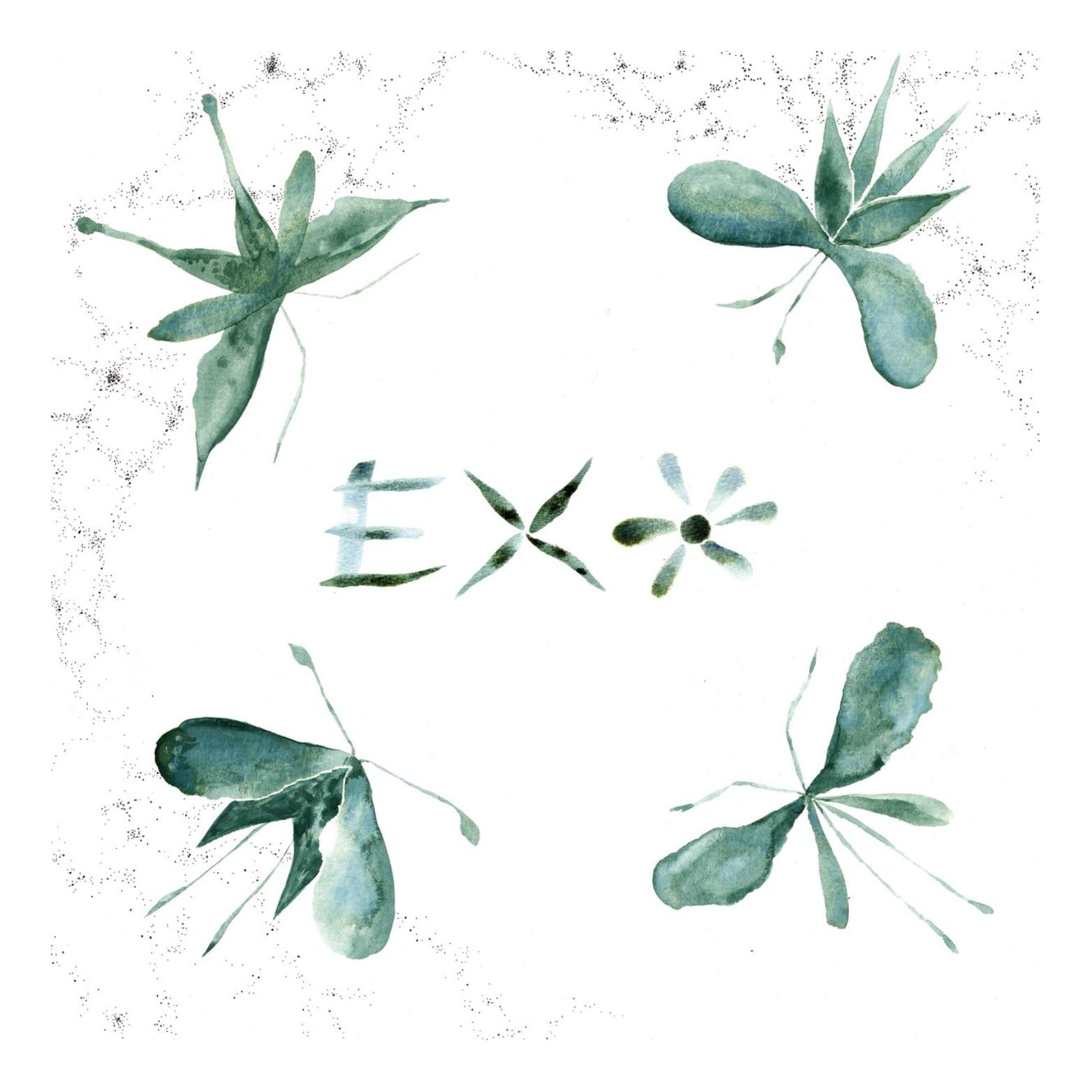 VINYL EXO EXO