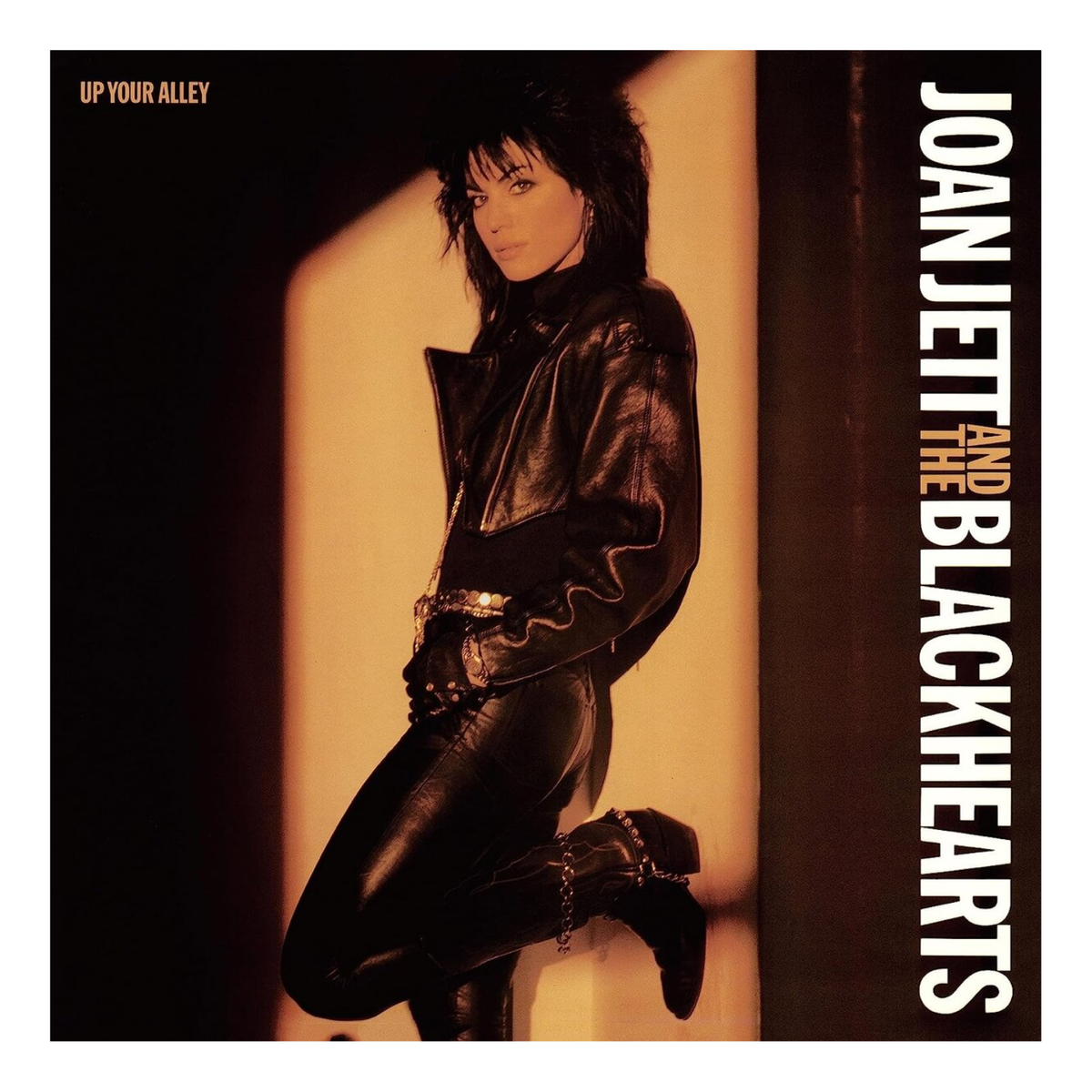 VINYL JOAN JETT & THE BLACKHEARTS UP YOUR ALLEY