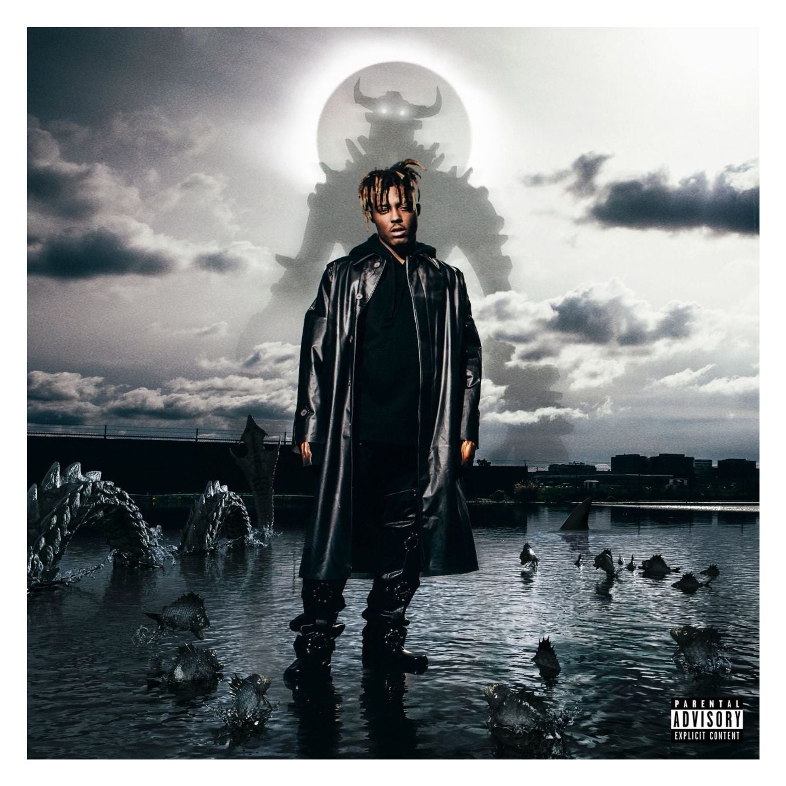 VINYL JUICEWRLD FIGHTING DEMONS 2LP