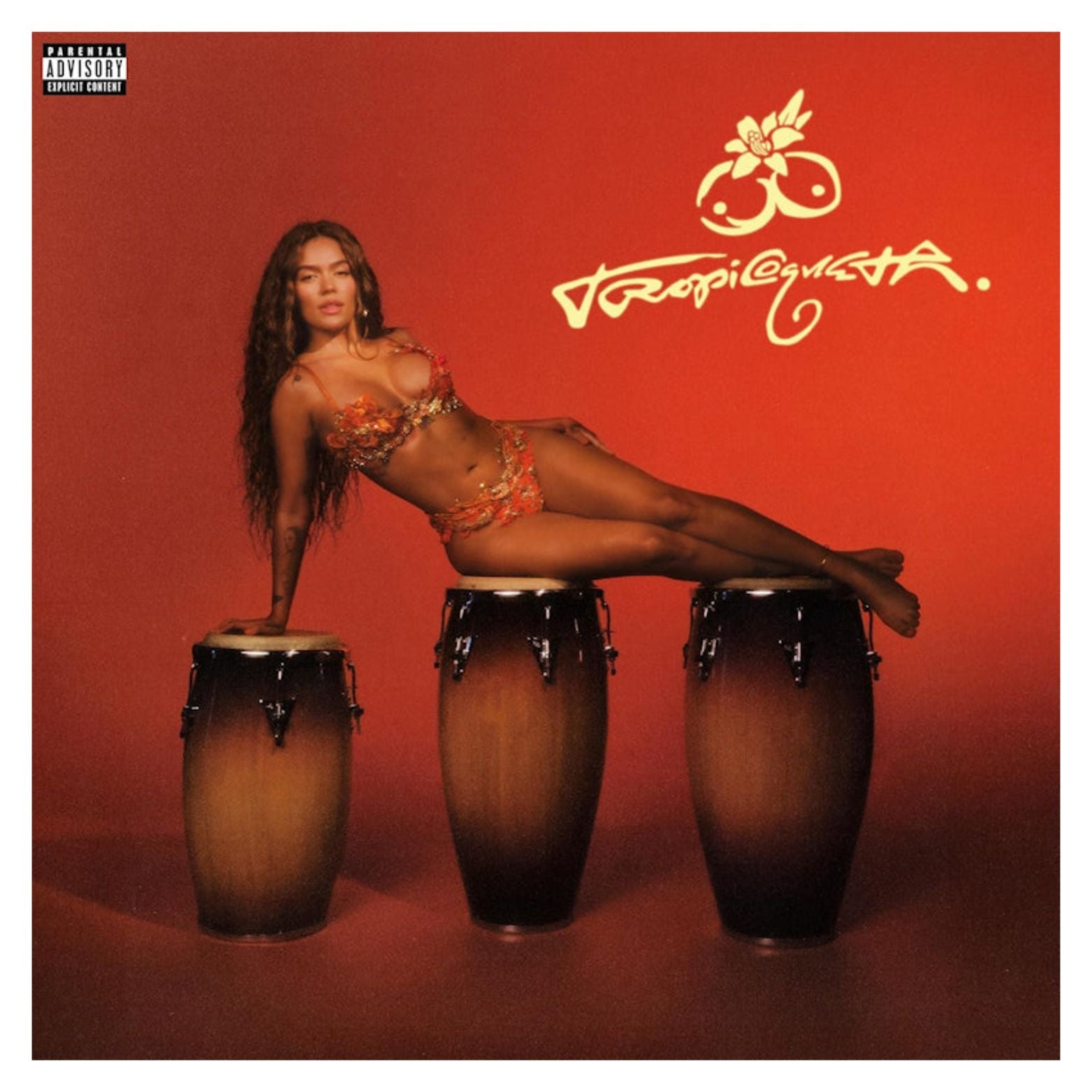 VINYL KAROL G TROPICOQUETA