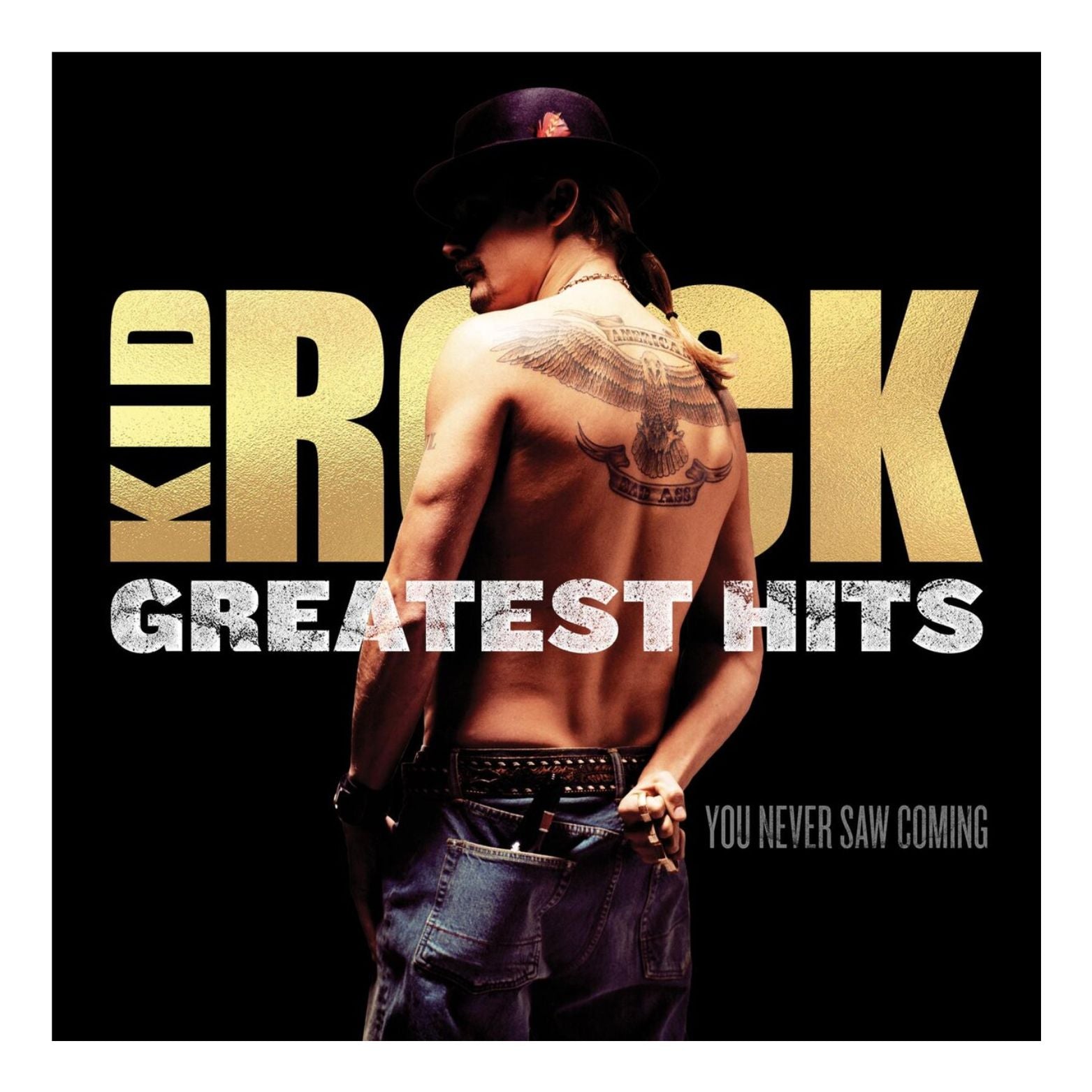 VINYL KID ROCK GREATEST HITS YOU NEVER SAW COMING 2LP