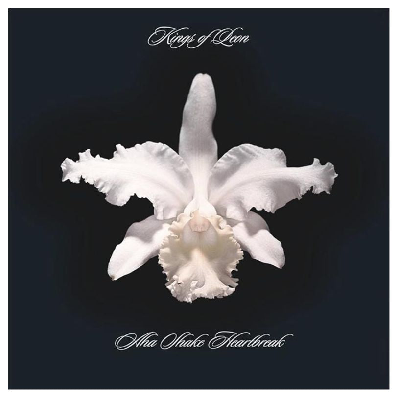 VINYL KINGS OF LEON AHA SHAKE HEARTBREAK 2LP