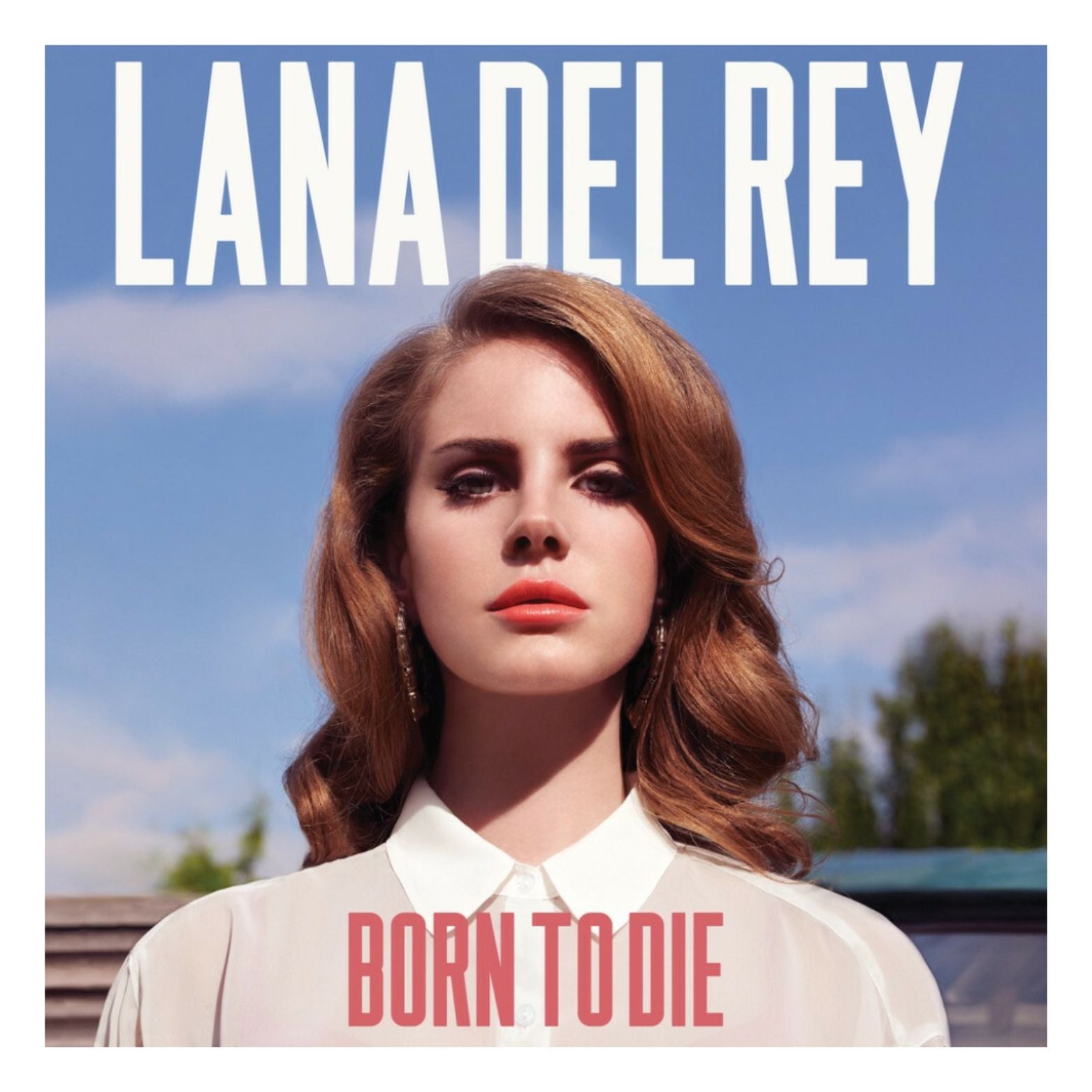 VINYL LANA DEL REY BORN TO DIE 2LP