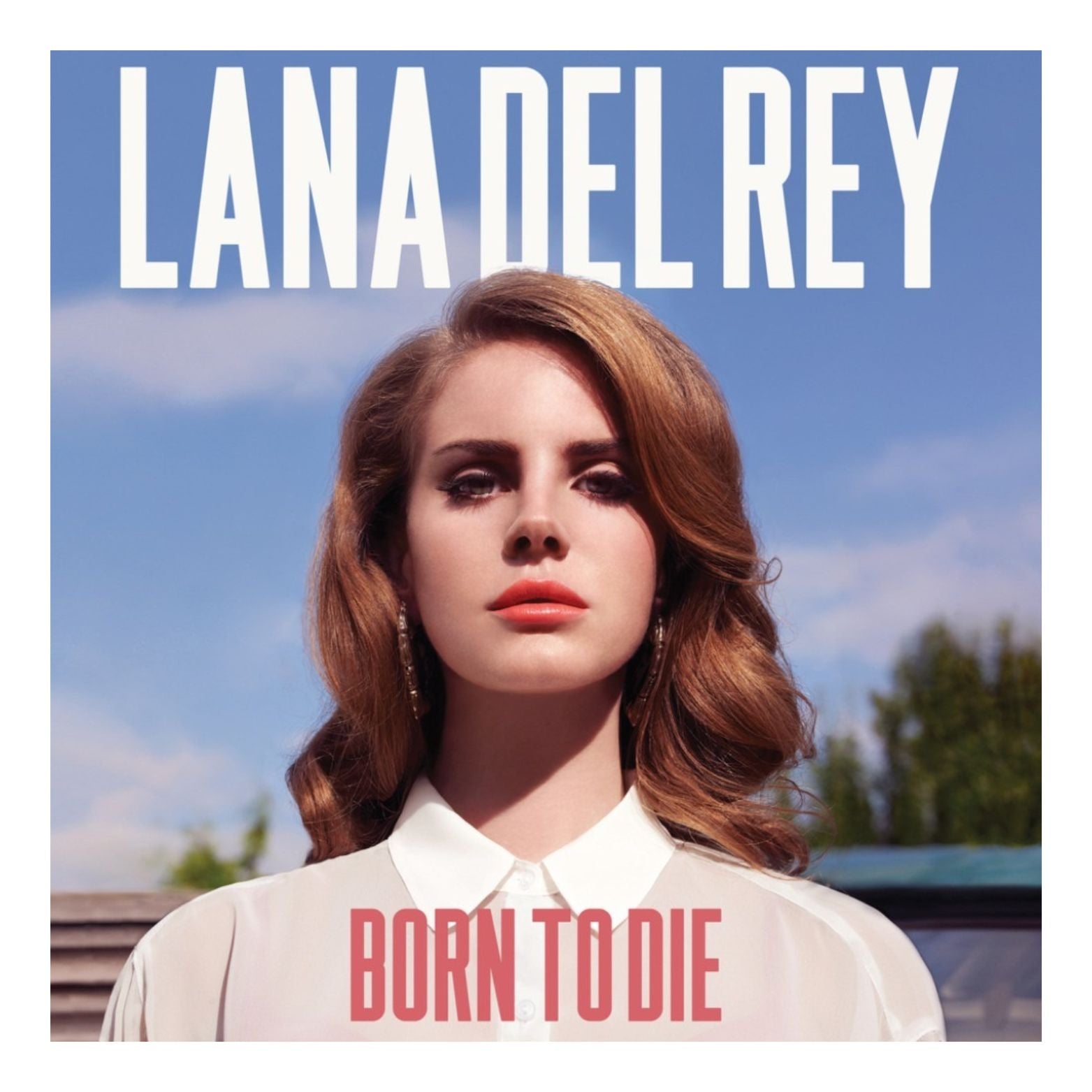 VINYL LANA DEL REY BORN TO DIE 2LP