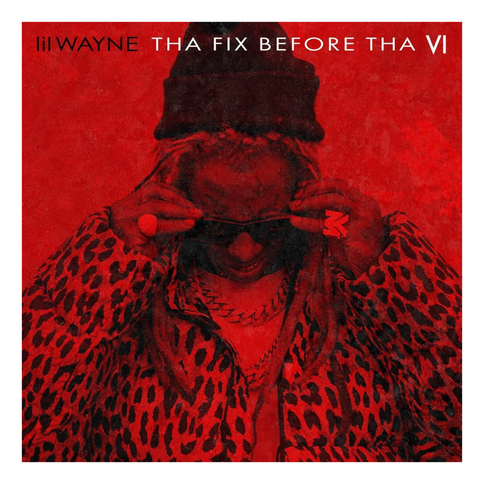 VINYL LIL WAYNE THA FIX BEFORE THA VI