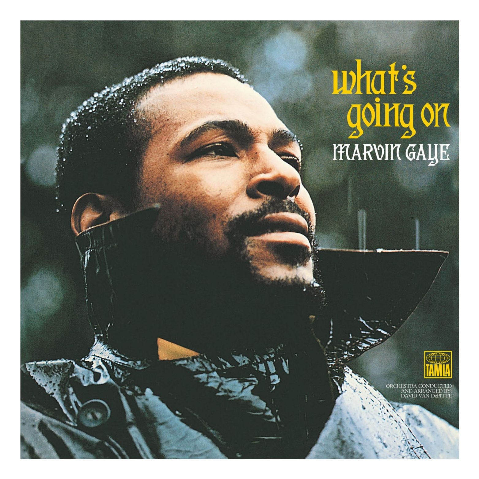 VINYL MARVIN GAYE WHAT´S GOING ON