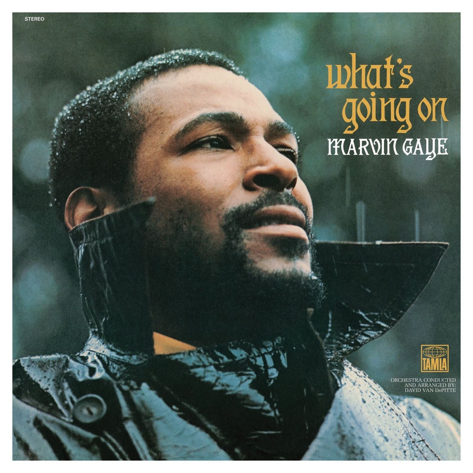 VINYL MARVIN GAYE WHAT'S GOING ON 2LP