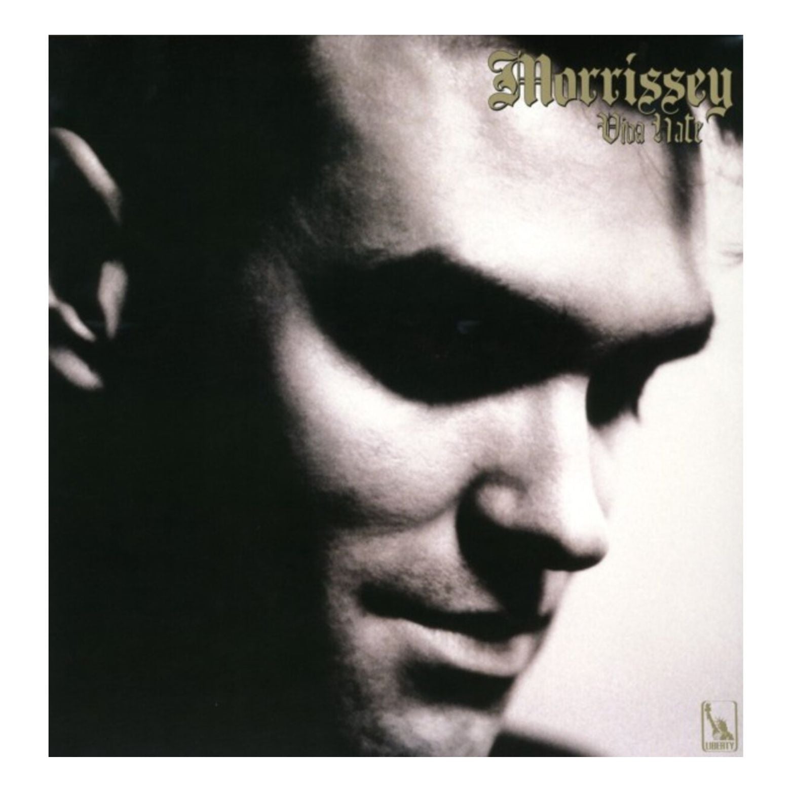 VINYL MORRISEY VIVA HATE