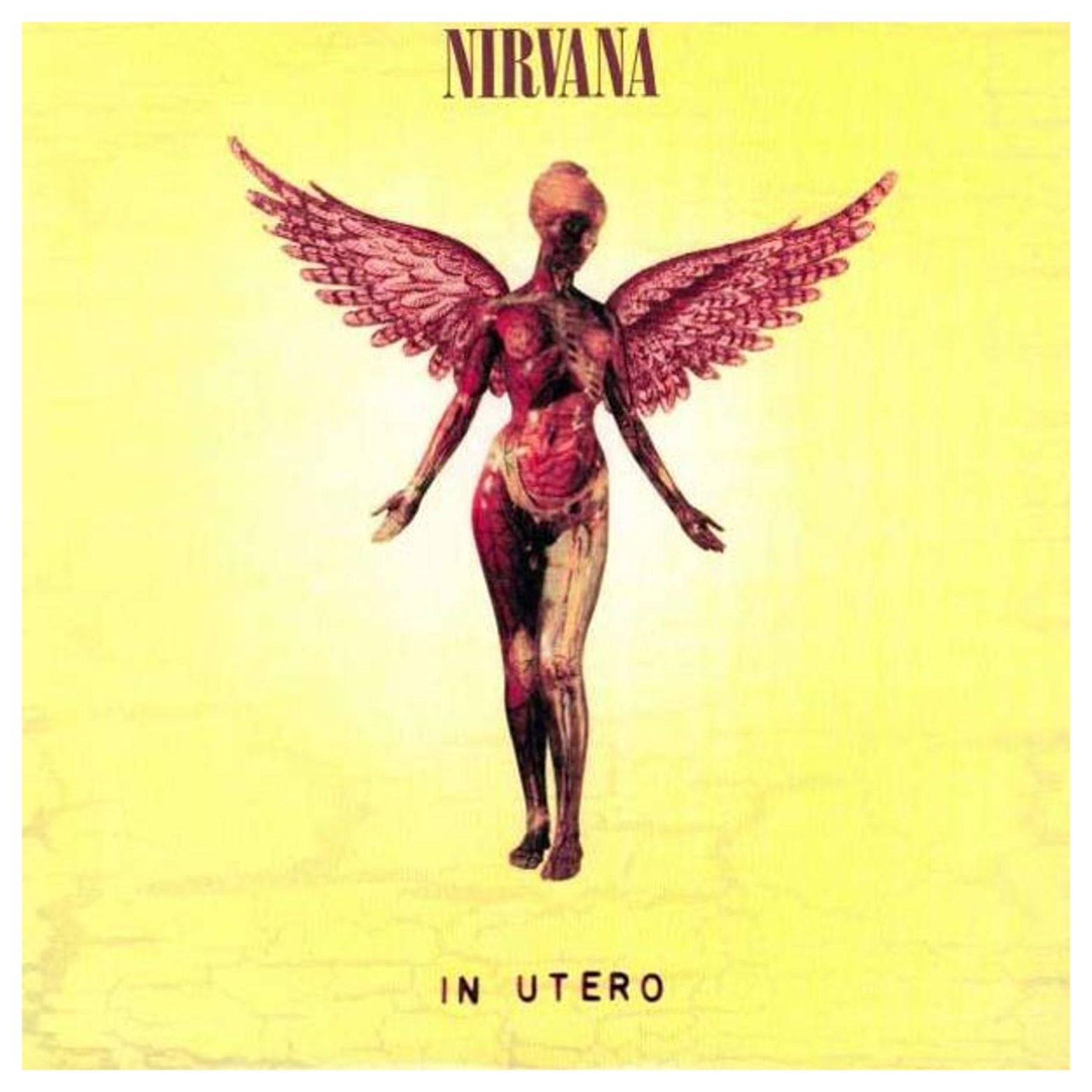VINYL NIRVANA IN UTERO
