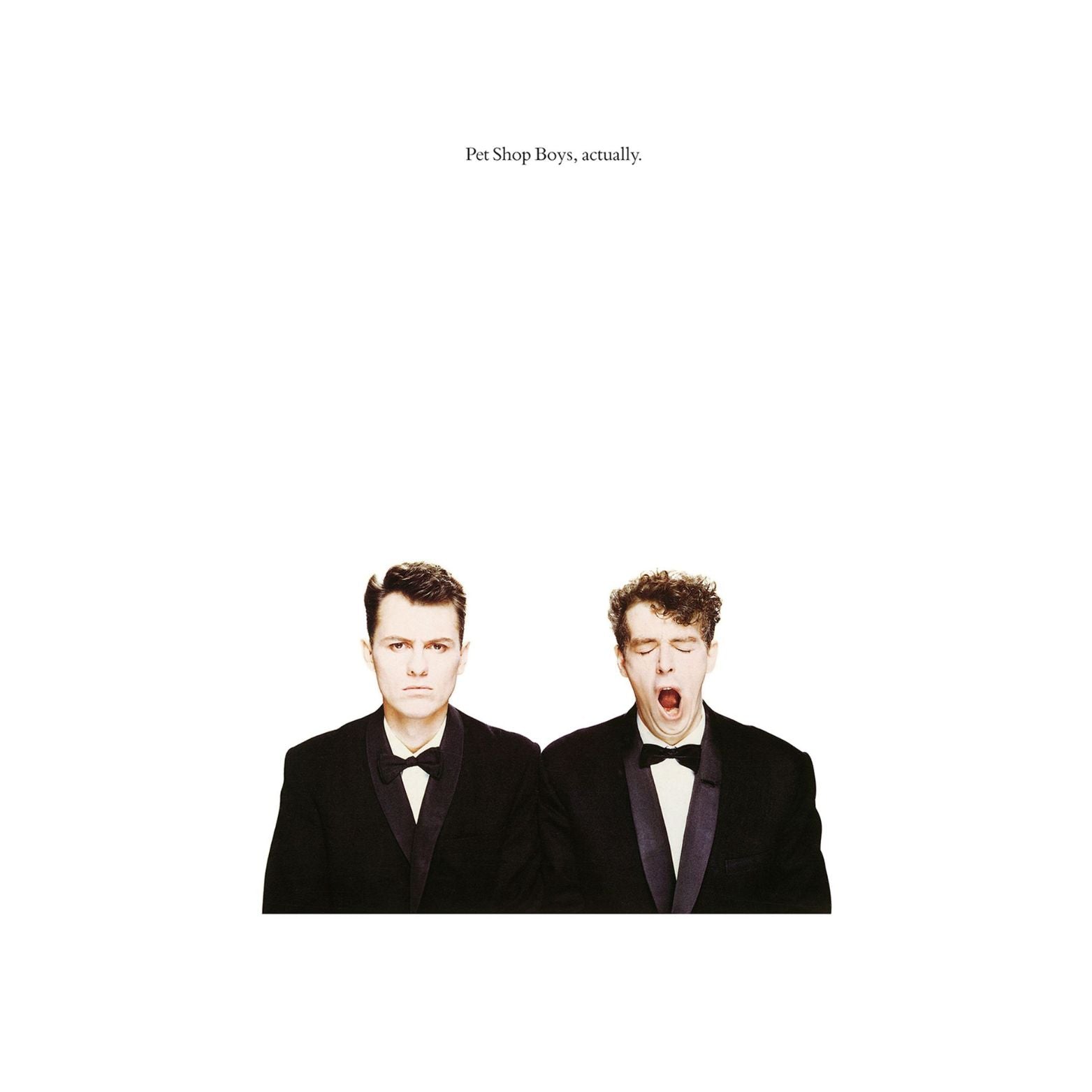 VINYL PET SHOP BOYS ACTUALLY
