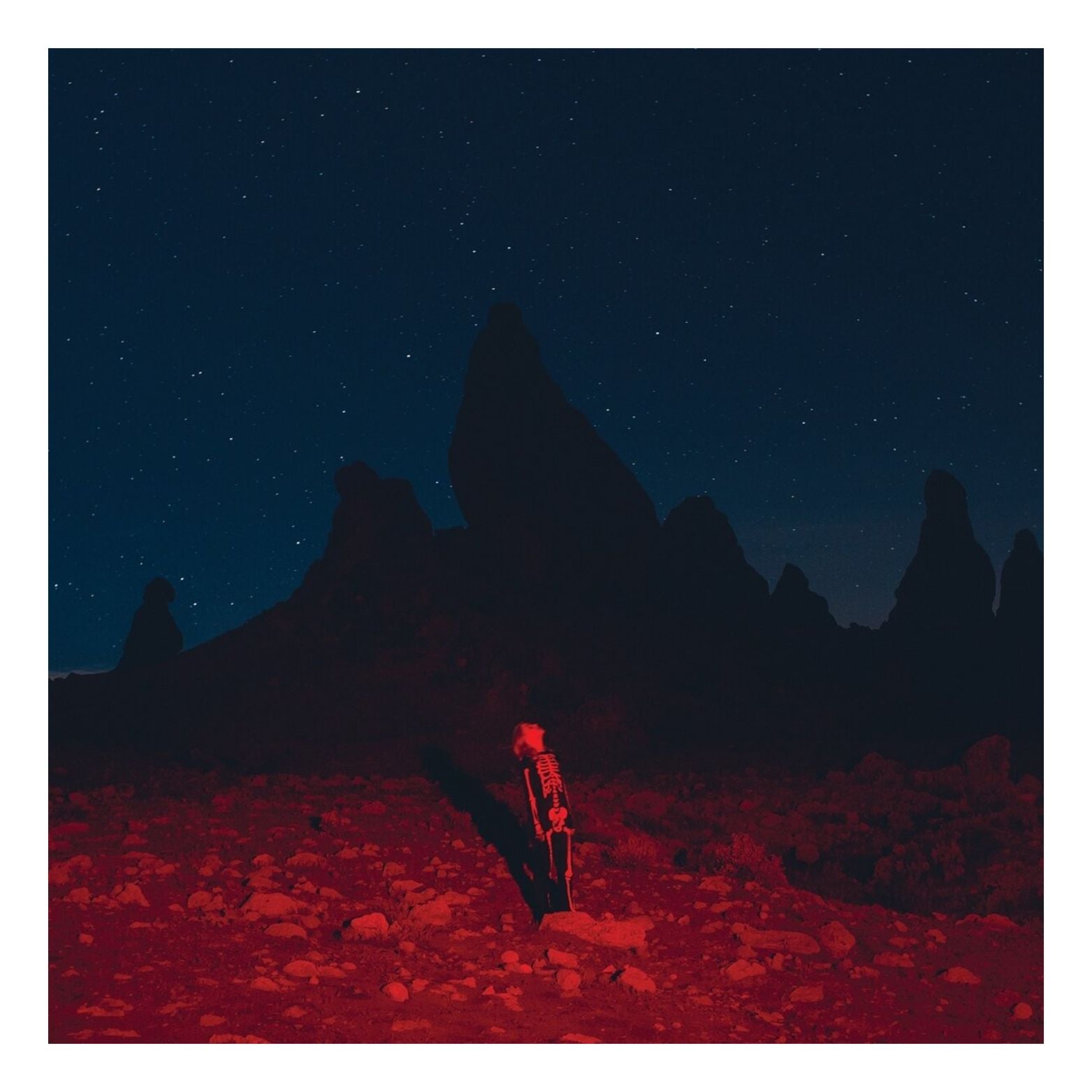 VINYL PHOEBE BRIDGERS PUNISHER