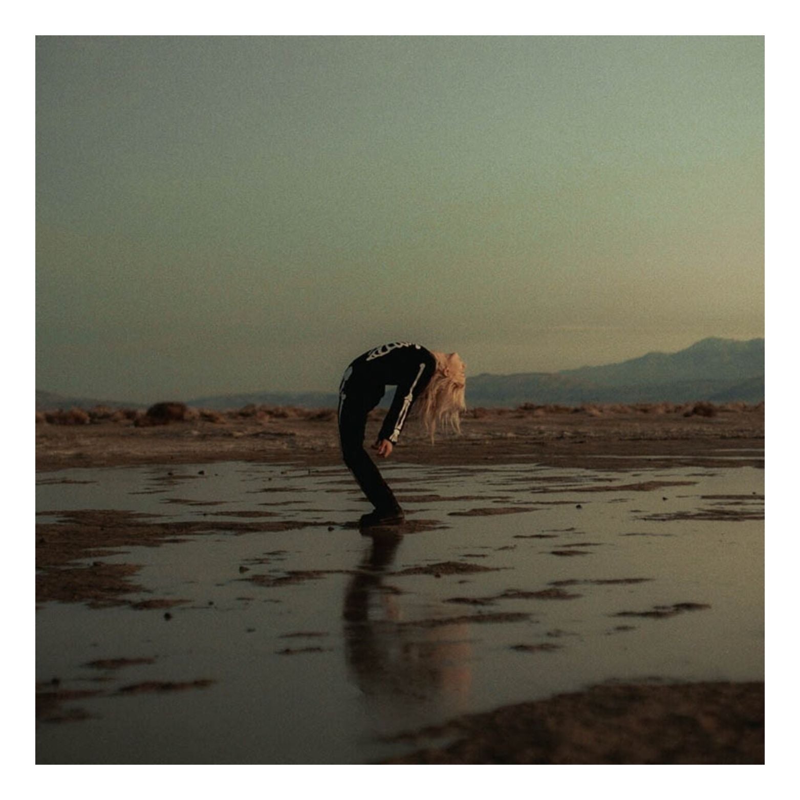 VINYL PHOEBE BRIDGERS & ROB MOOSE COPYCAT KILLER