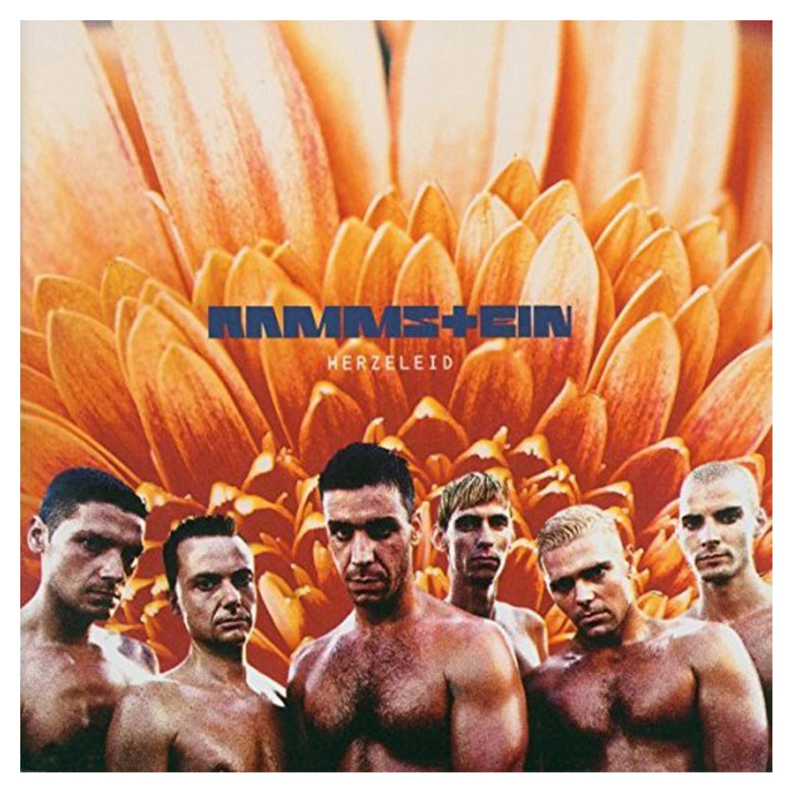 VINYL RAMMSTEIN HERZELEID 2LP