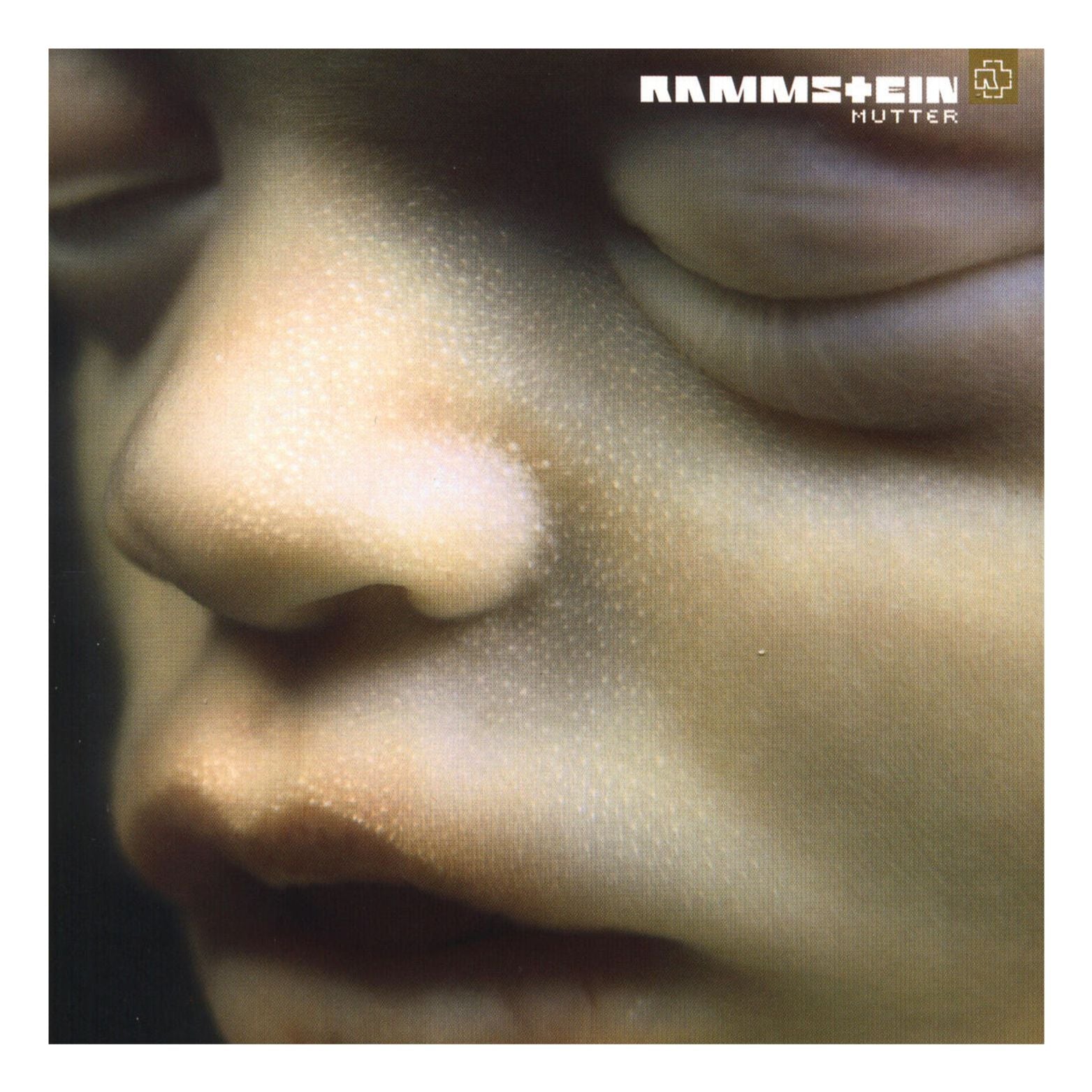 VINYL RAMMSTEIN MUTTER 2LP