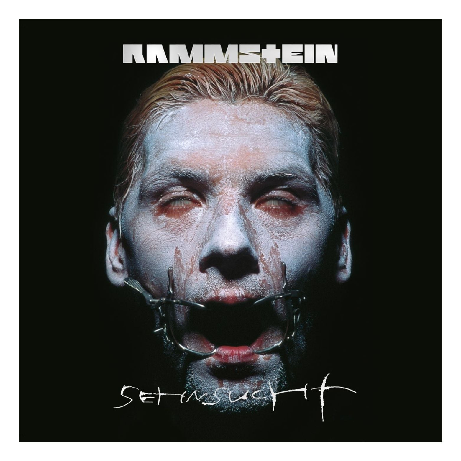 VINYL RAMMSTEIN SEHNSUCHT 2LP