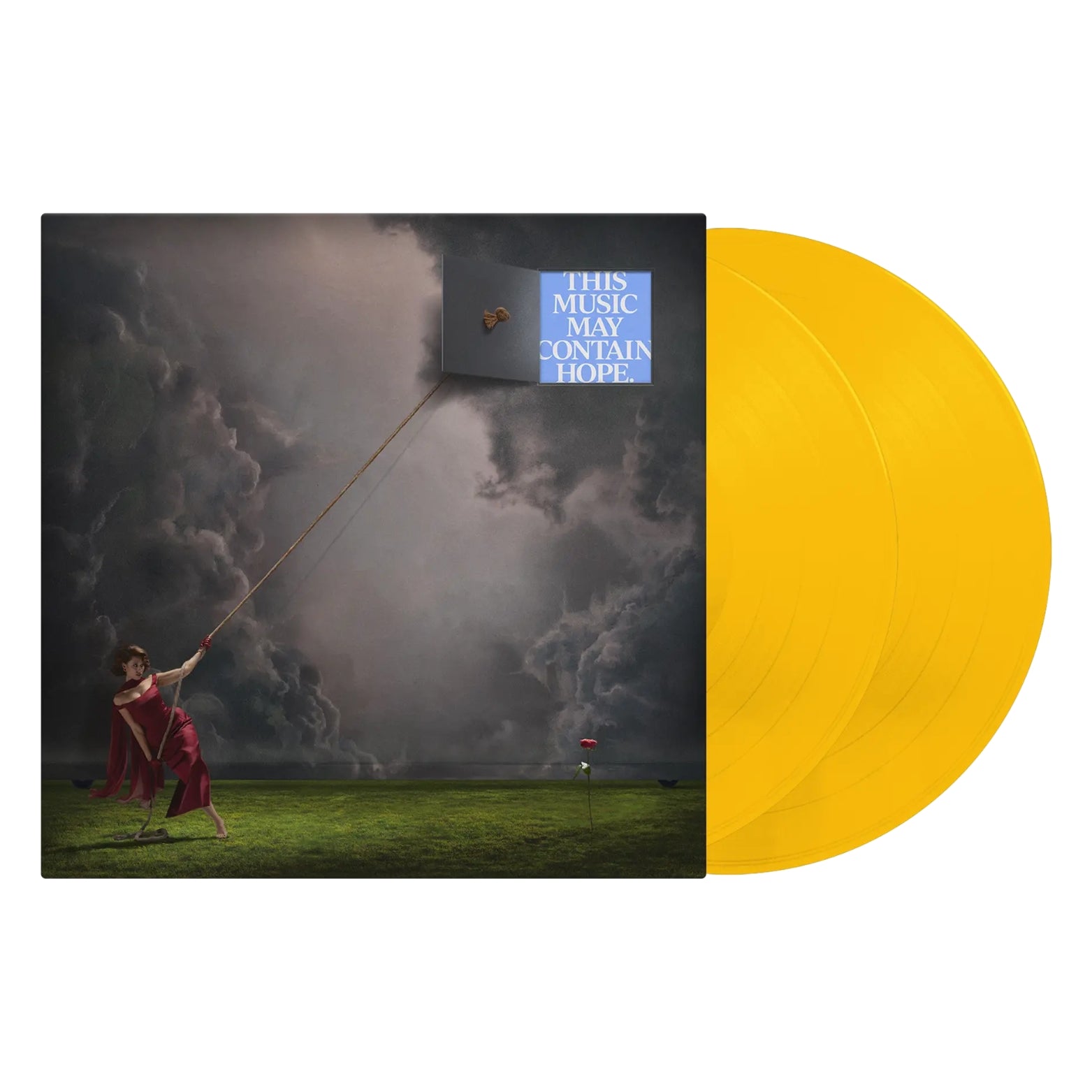 VINYL RAYE THIS MUSIC MAY CONTAIN 2LP