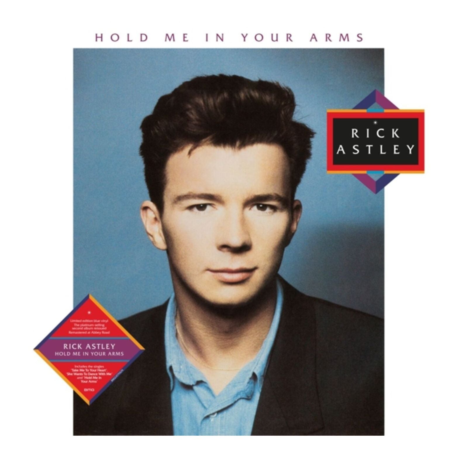 VINYL RICK ASTLEY HOLD ME IN YOUR ARMS