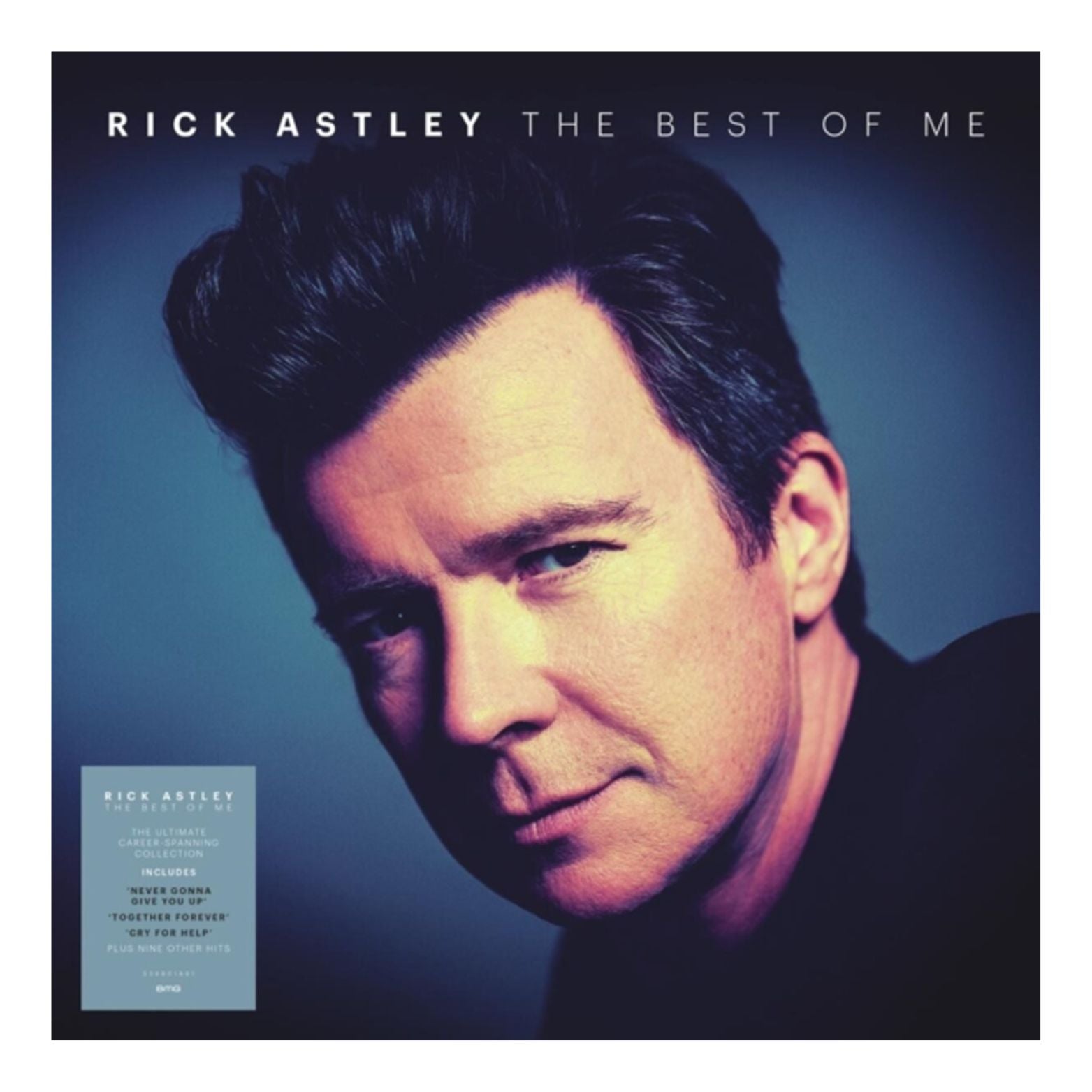 VINYL RICK ASTLEY THE BEST OF ME