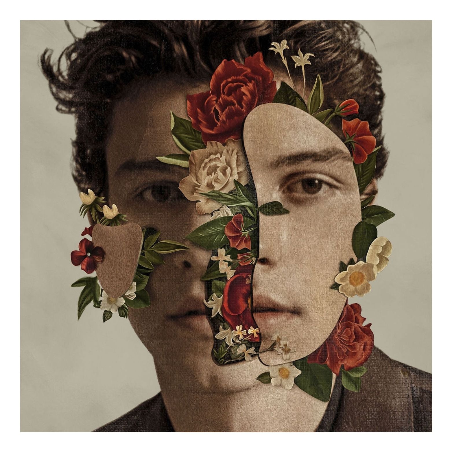 VINYL SHAWN MENDES SHAWN MENDES