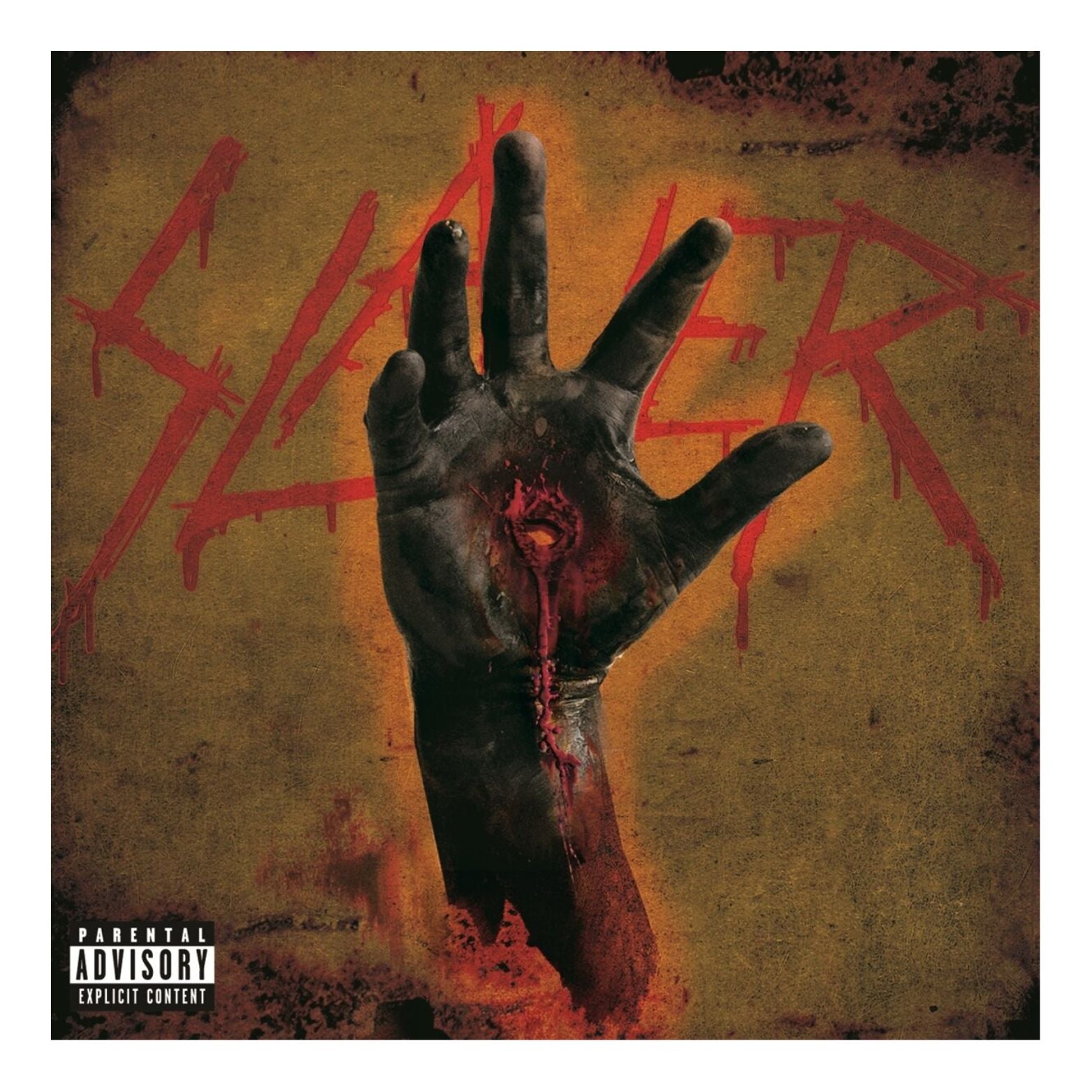 VINYL SLAYER CHRIST ILLUSION