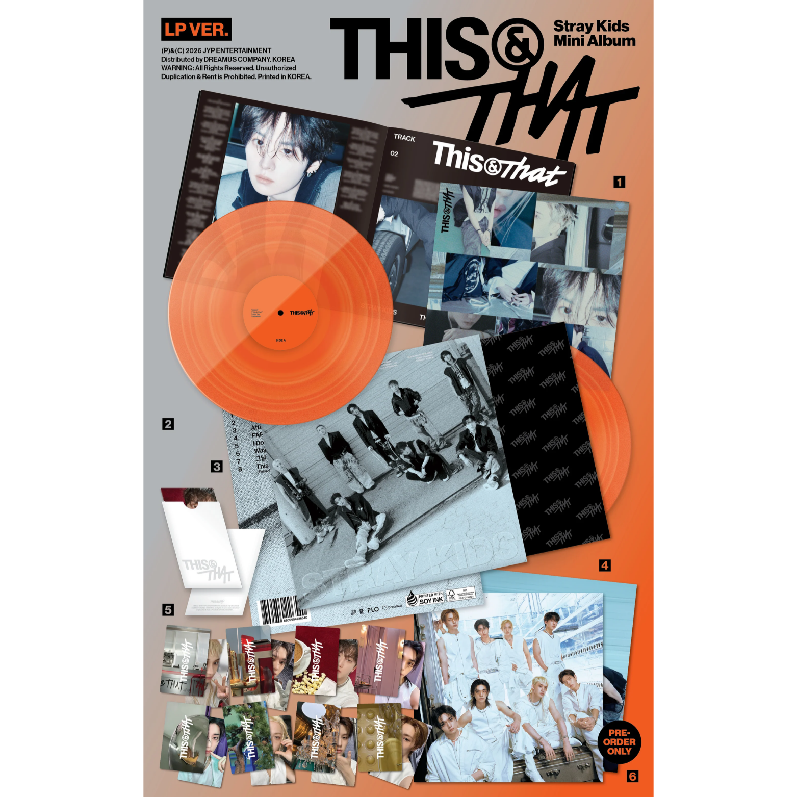 VINYL STRAYKIDS THIS & THAT