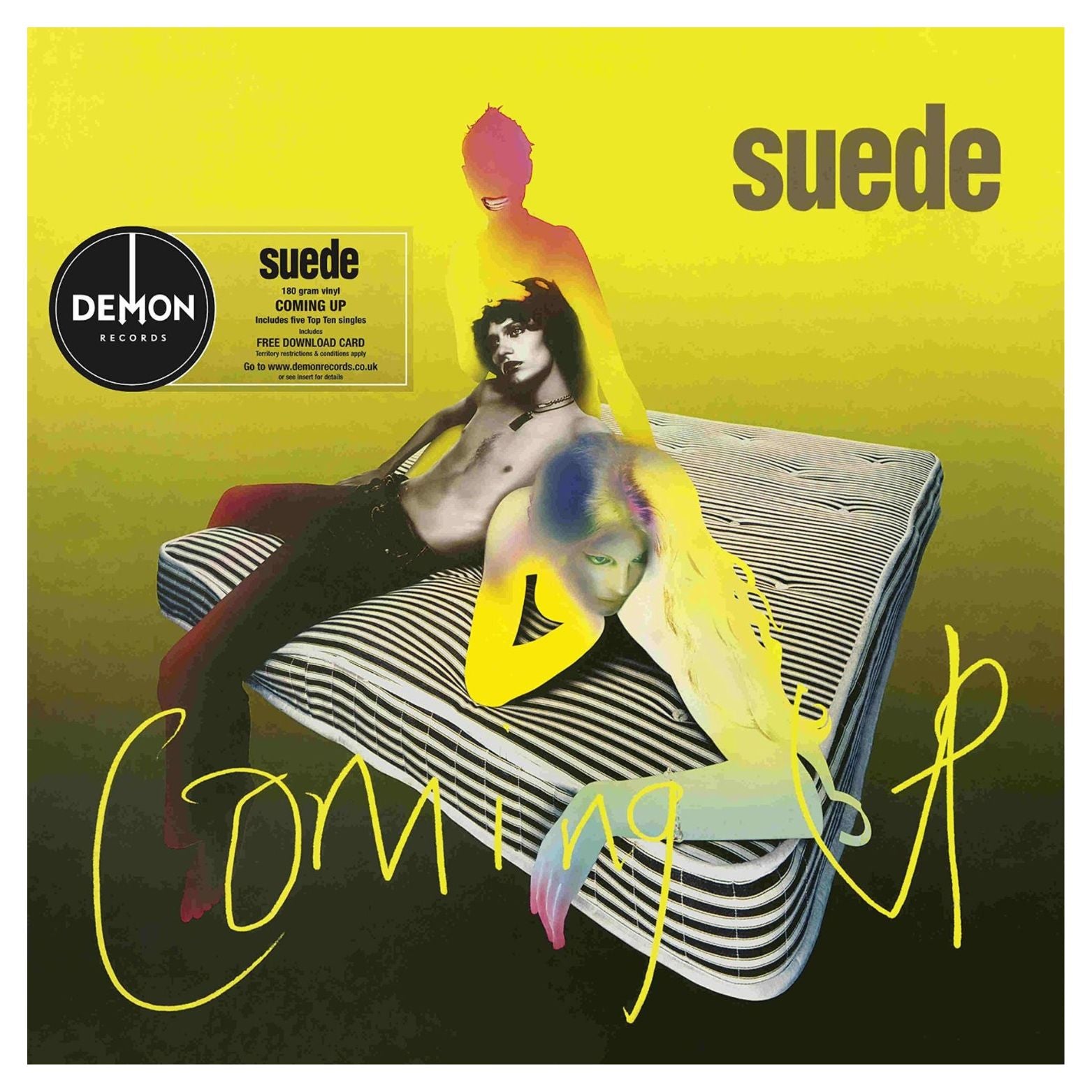 VINYL SUEDE COMING UP
