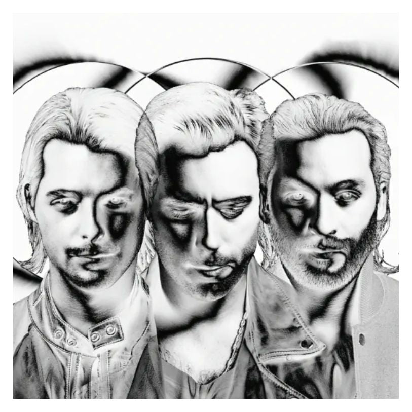 VINYL SWEDISH HOUSE MAFIA SINGLES