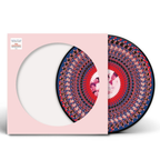 VINYL TAKE THAT EVERYTHING CHANGES