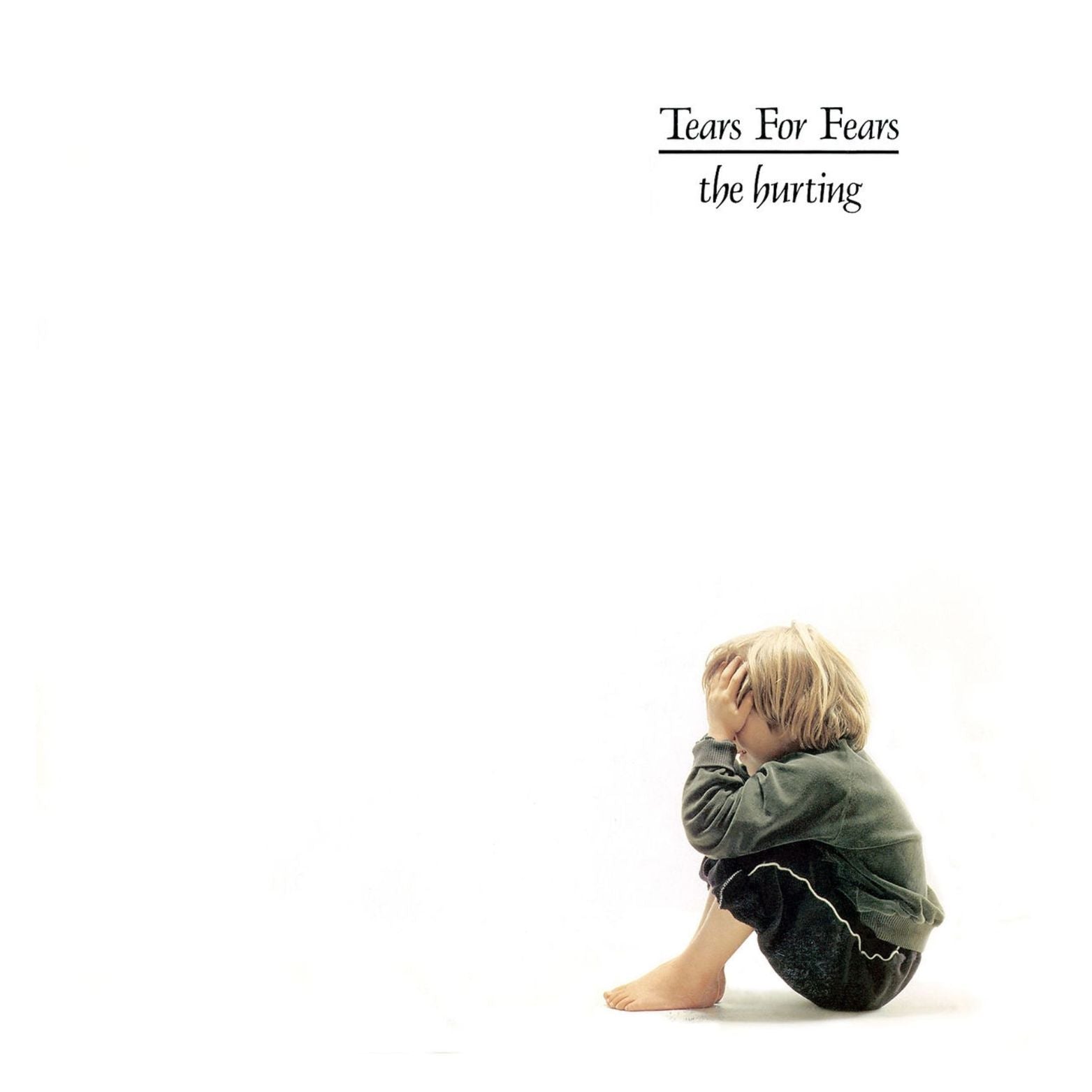 VINYL TEARS FOR FEARS HURTING