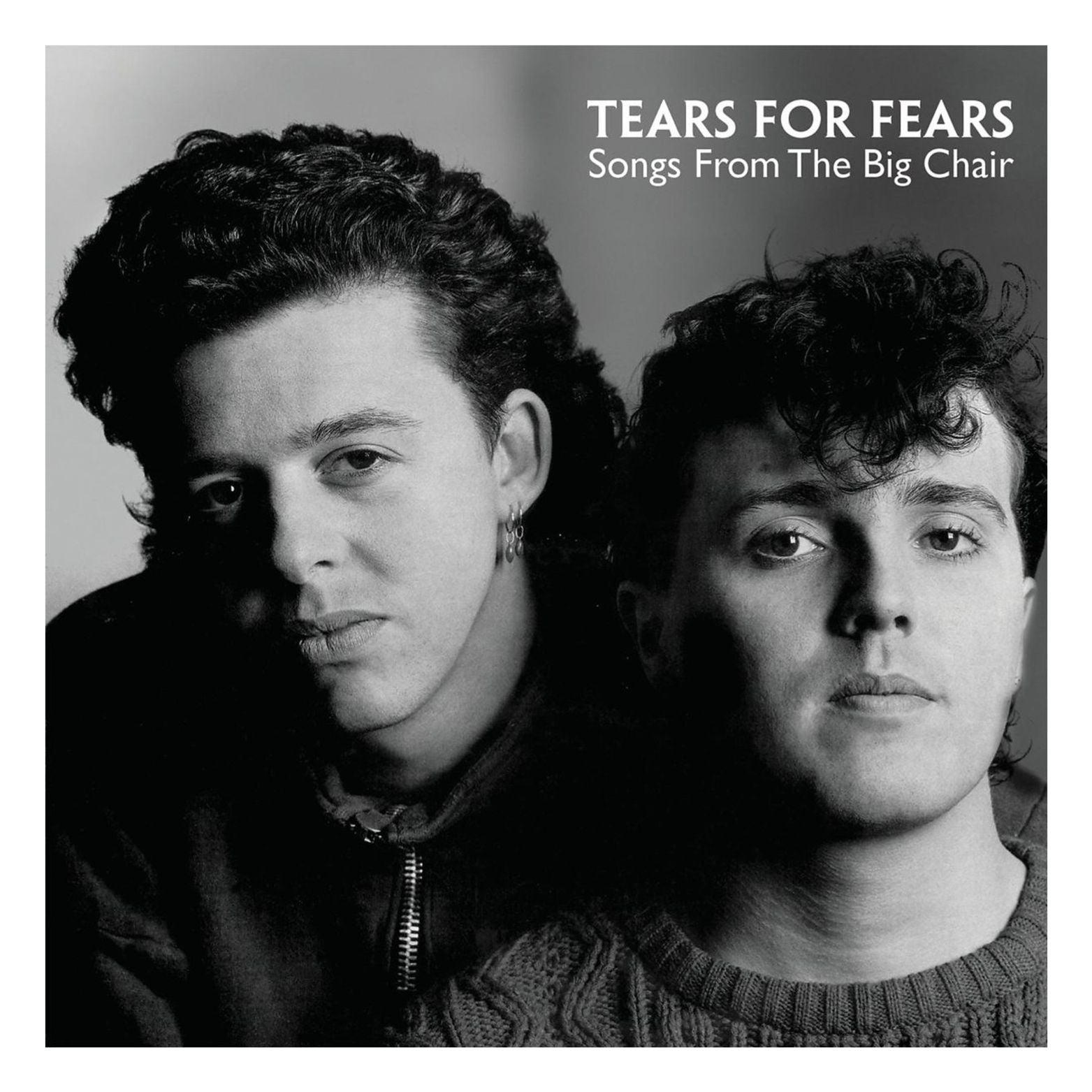 VINYL TEARS FOR FEARS SONGS FROM THE BIG CHAIR
