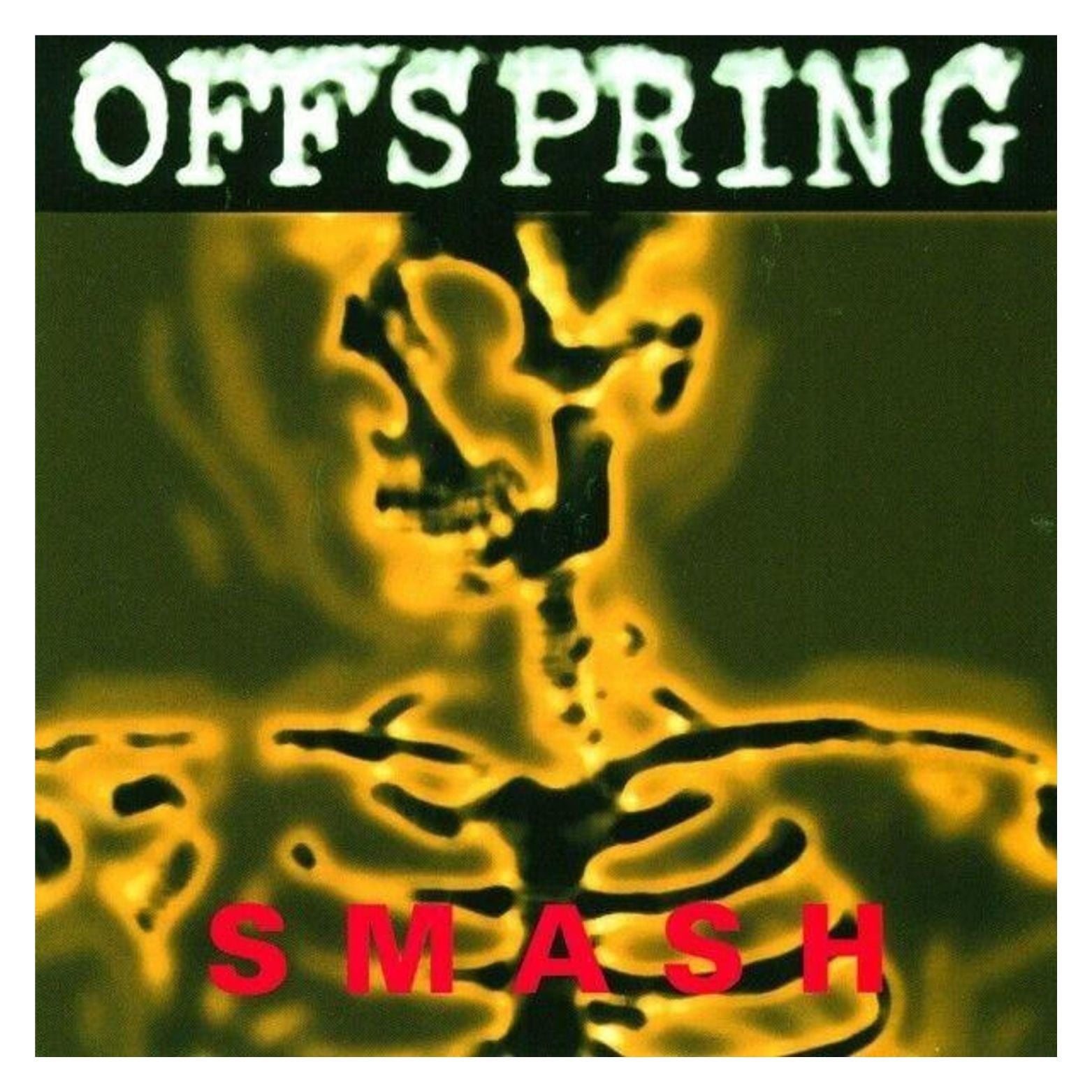 VINYL THE OFFSPRING SMASH