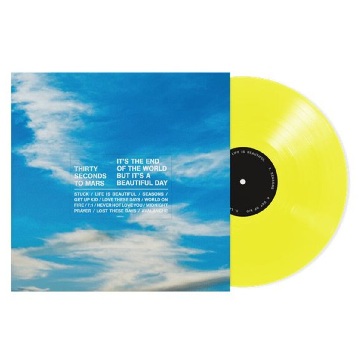 VINYL THIRTY SECONDS TO MARS IT'S THE END OF THE WORLD BUT IT'S A BEAUTIFUL DAY