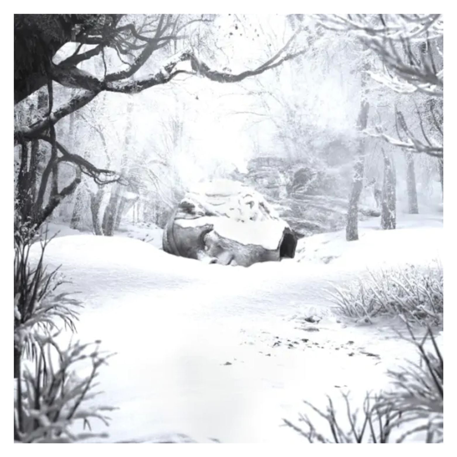 VINYL WEEZER SZNZ WINTER