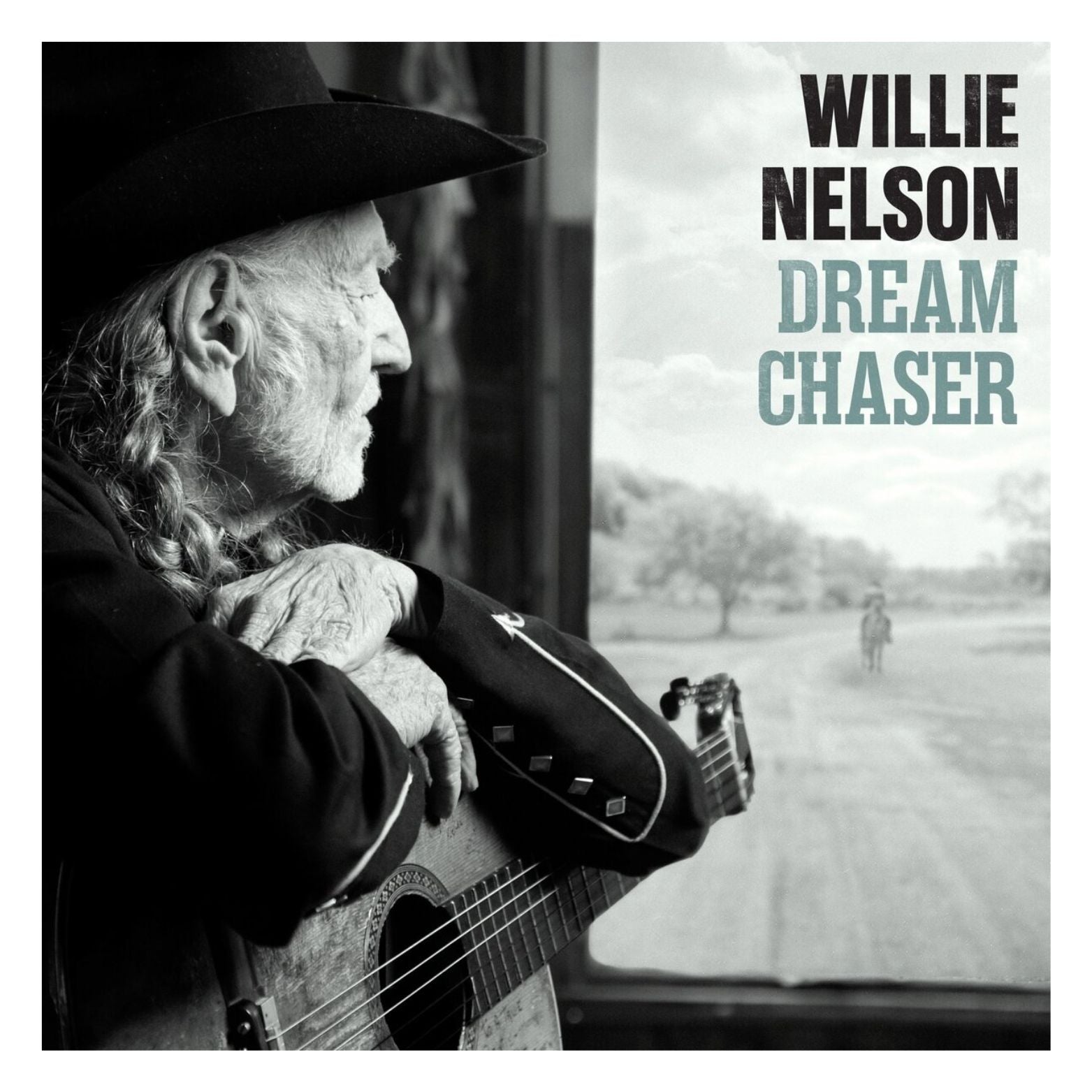 VINYL WILLIE NELSON DREAM CHASER