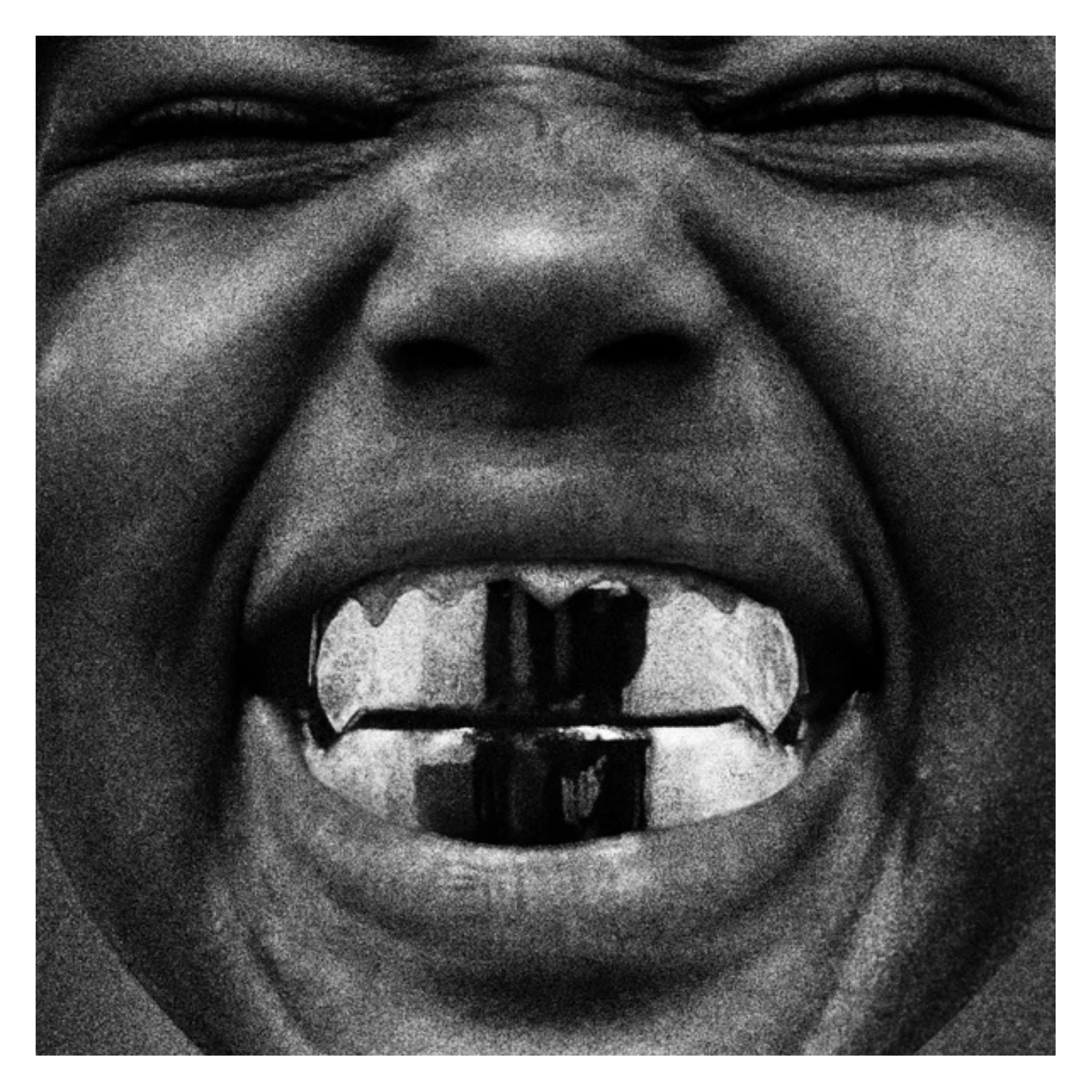VINYL YE BULLY