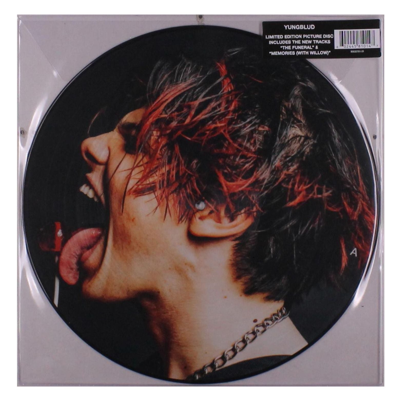 VINYL YUNGBLUD YUNGBLUD PICTURE